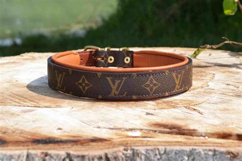 designer dog leash louis vuitton|louis vuitton dog collar small.